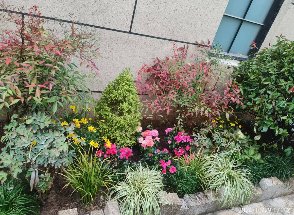 西安別墅庭院景觀設計、綠化、施工、后期養護一條龍服務|西安碧盛園藝